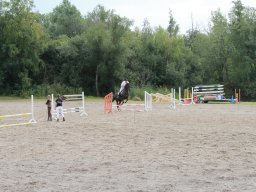 img_5855_web